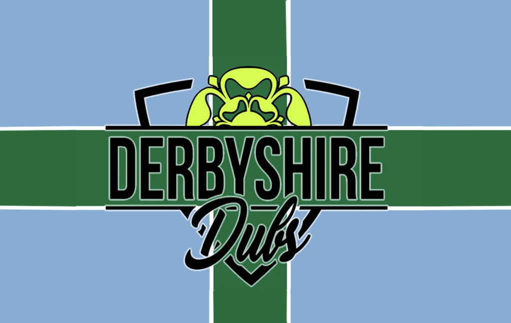 Derbyshire Dubs VW Festival