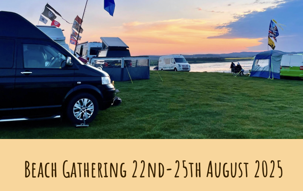 Beach Gathering